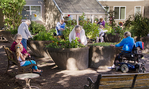 assisted-living-center-cases